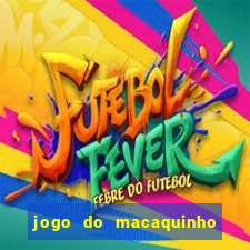 jogo do macaquinho que ganha dinheiro